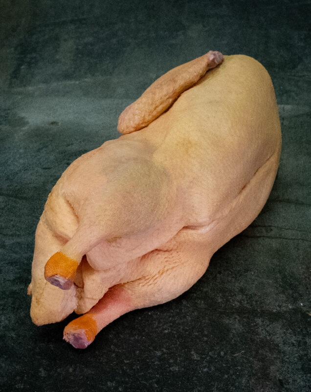 Ganze Ente aus Pommern roh auf Steinplatte