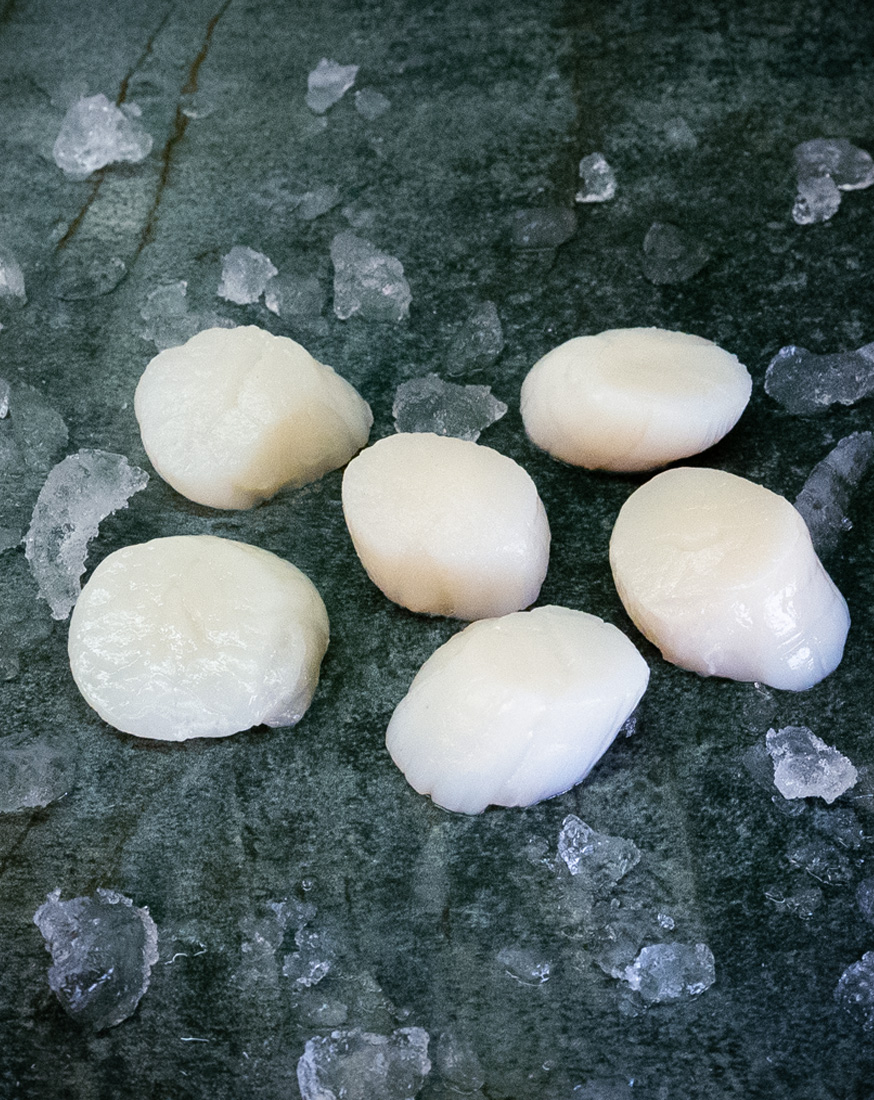 Jakobsmuscheln | 8/12 | Japan