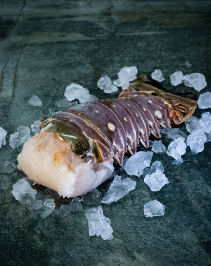 Langustenschwanz | Westatlantik