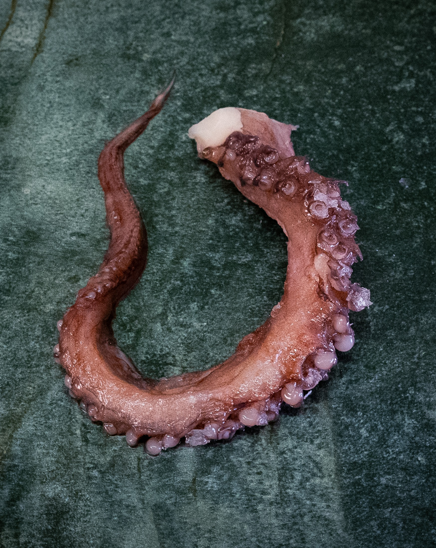 Oktopus Arme | Pulpoarme | gegart – Bild 2