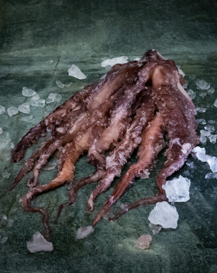 Oktopus Arme | Pulpoarme | gegart