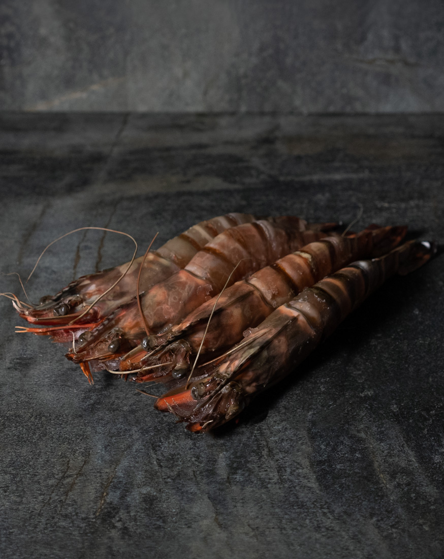 Black Tiger Riesengarnelen | 4/6 – Bild 2
