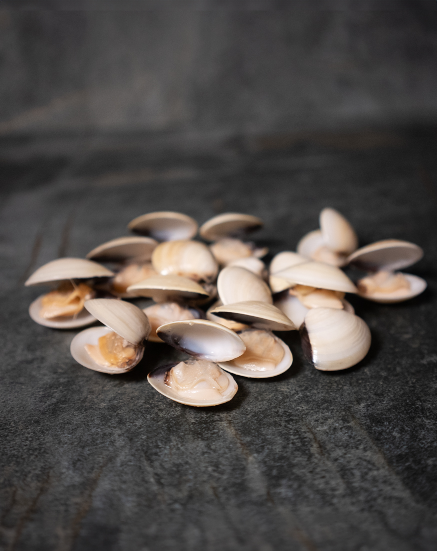 Venusmuscheln mit Schale | gekocht | einzeln entnehmbar